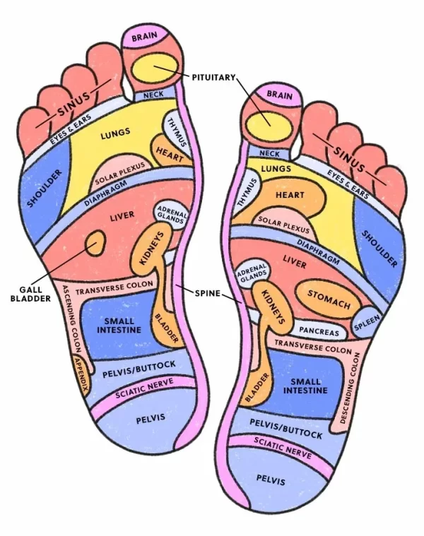 Vibrational Reflexology - Image 2